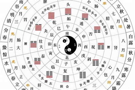 丁五行|十天干、十二地支与五行 、六十甲子基本知识